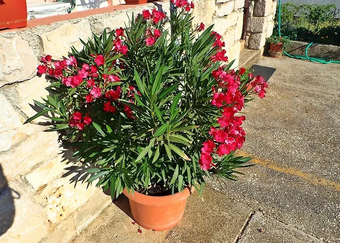 Putnik Lägenhet Posedarje